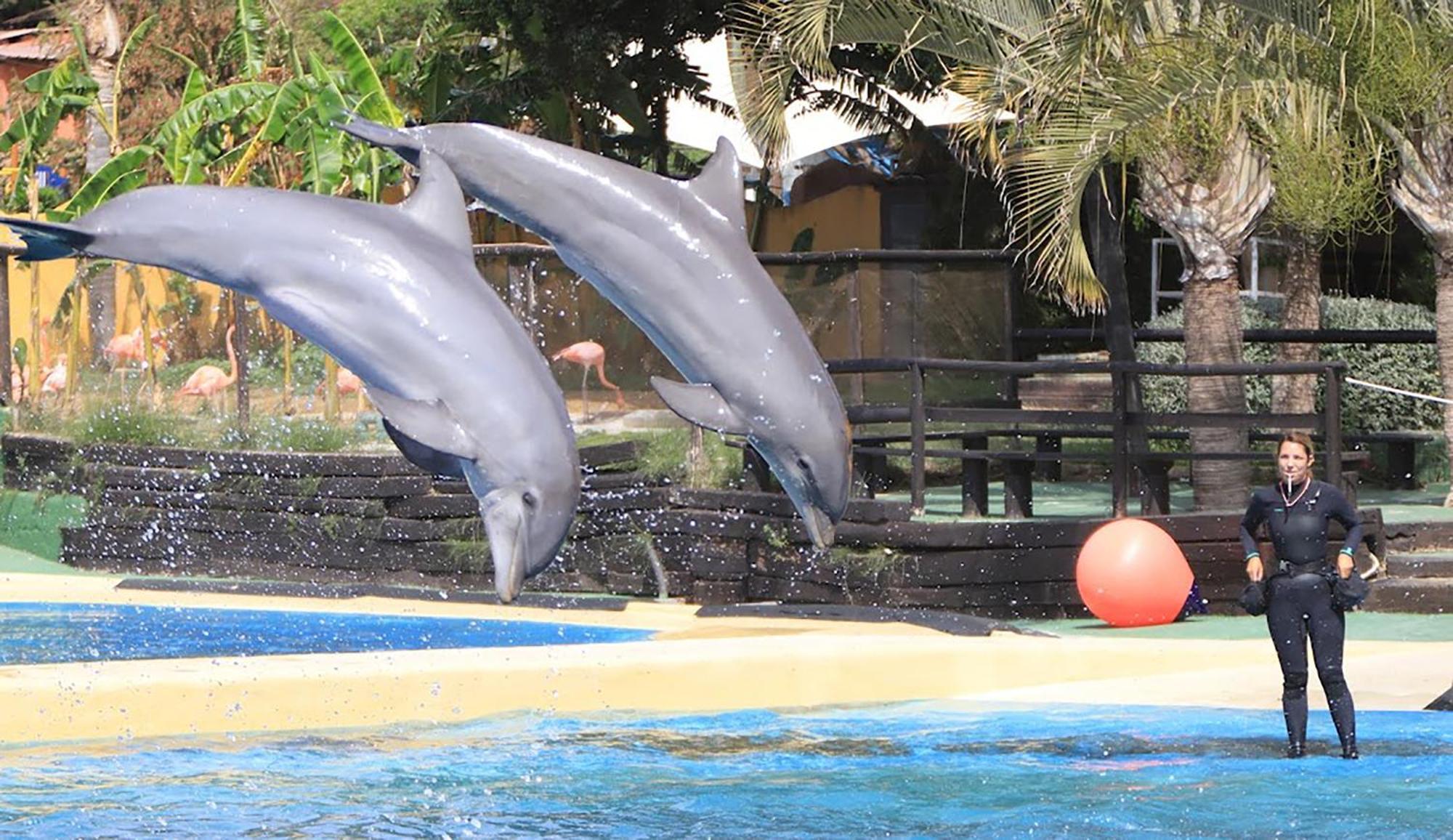 Skysea Benalmadena Puerto Marina公寓 外观 照片